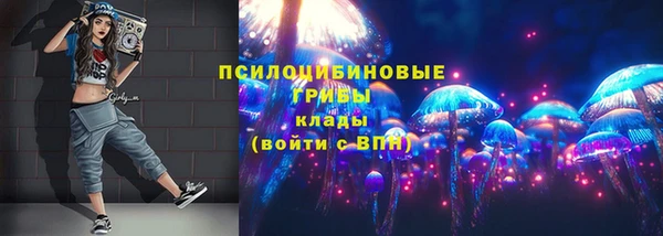 стафф Володарск
