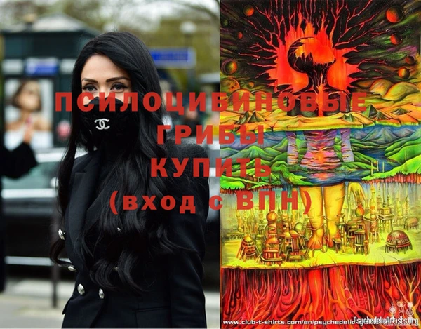 МДПВ Бронницы