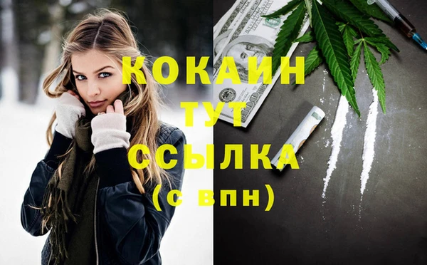 прущие крисы Бородино