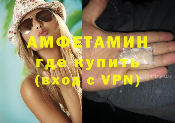 прущие крисы Бородино