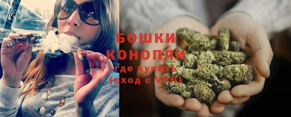МДПВ Бронницы