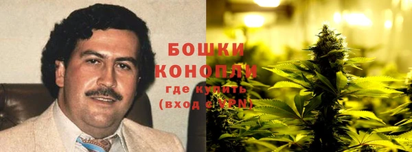 МДПВ Бронницы
